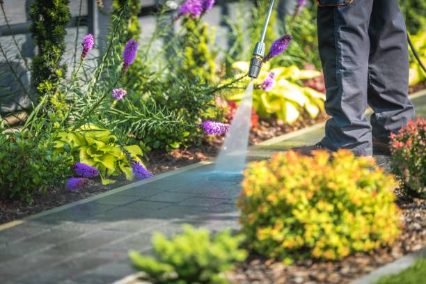 Best Pre-Holiday Cleaning  in Coburg, OR
